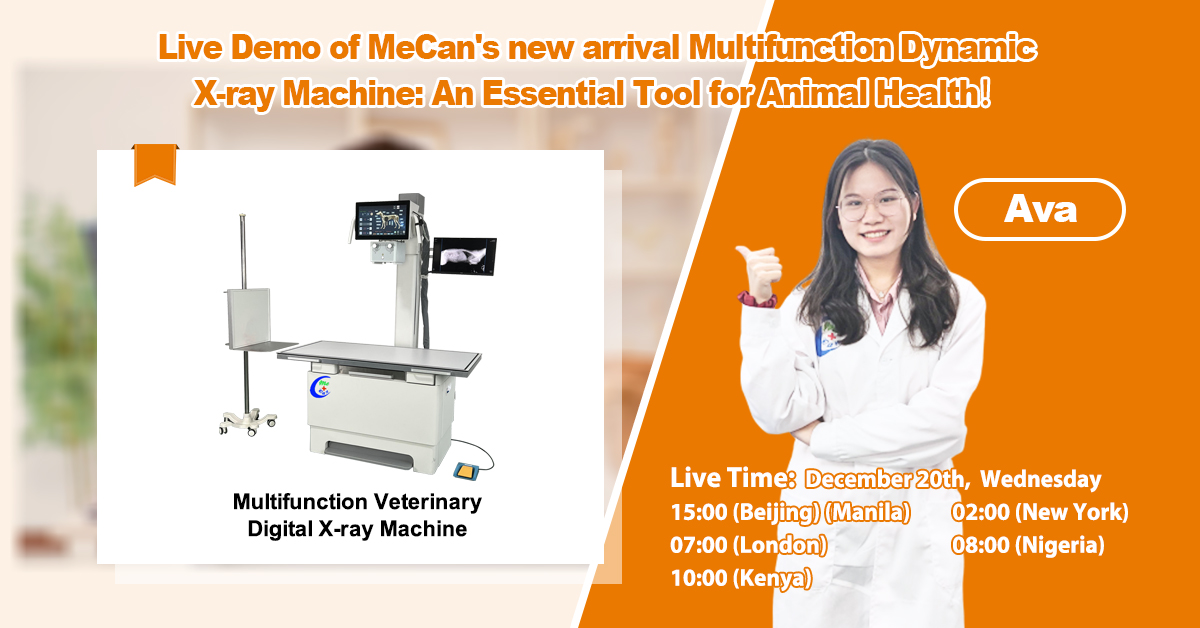 Transmisja na żywo z dynamicznego aparatu rentgenowskiego z podw&oacute;jnym ekranem | Prezentacja fabryczna