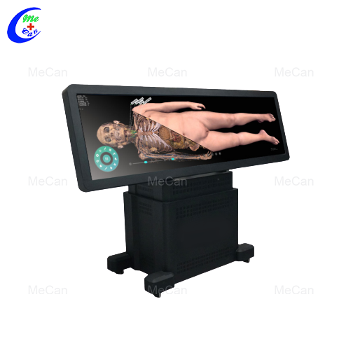 Mesa Virtual de Anatomia - Revolucionando a Educa&ccedil;&atilde;o em Anatomia