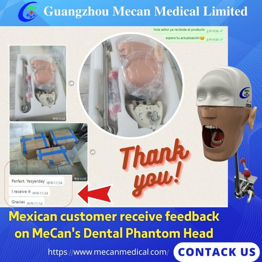 Feedback on Dental Phantom Head from Mexican customer | MeCan Medical