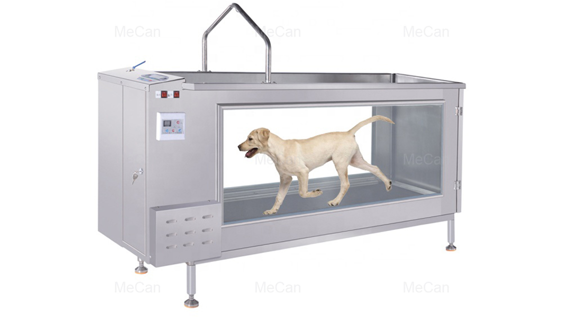 ווי צו פאַרלירן וואָג פֿאַר דיין הונט? | MeCan Medical