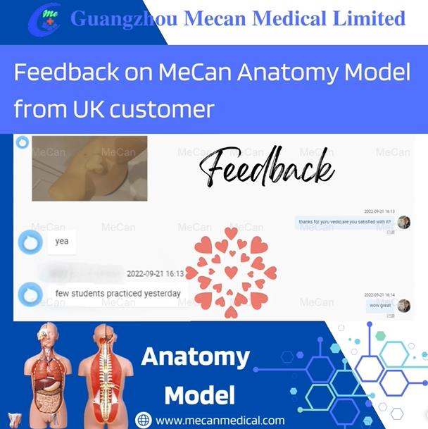 Zpětn&aacute; vazba na Anatomy Model od britsk&eacute;ho z&aacute;kazn&iacute;ka | MeCan Medical