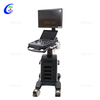 Trolley 4D Ultrasound Scanner