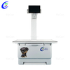 Efficient and User-Friendly 20kW Veterinary X-ray Machine with Touch Screen Technology