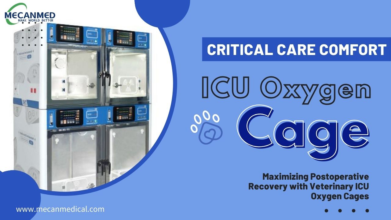 Kenyamanan Perawatan Kritis: Memaksimalkan Pemulihan Pasca Operasi dengan Kandang Oksigen ICU Hewan