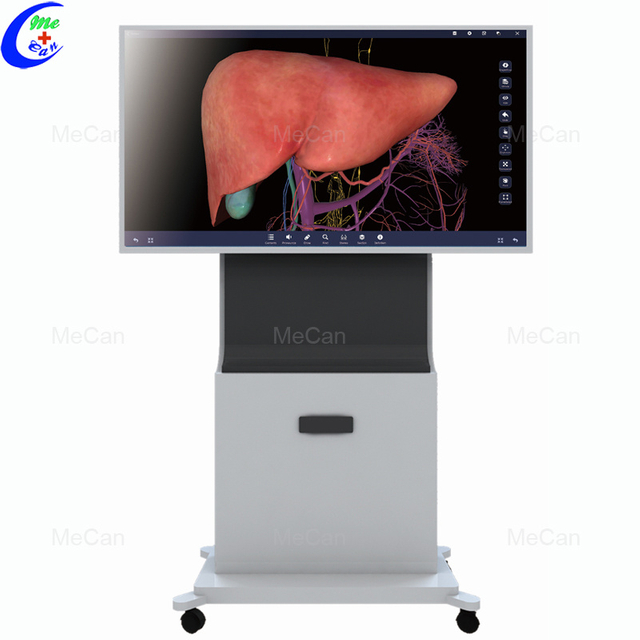 Sistema professional d'anatomia humana 3D de pantalla t&agrave;ctil de 88/55 polzades per a fabricants d'educaci&oacute;