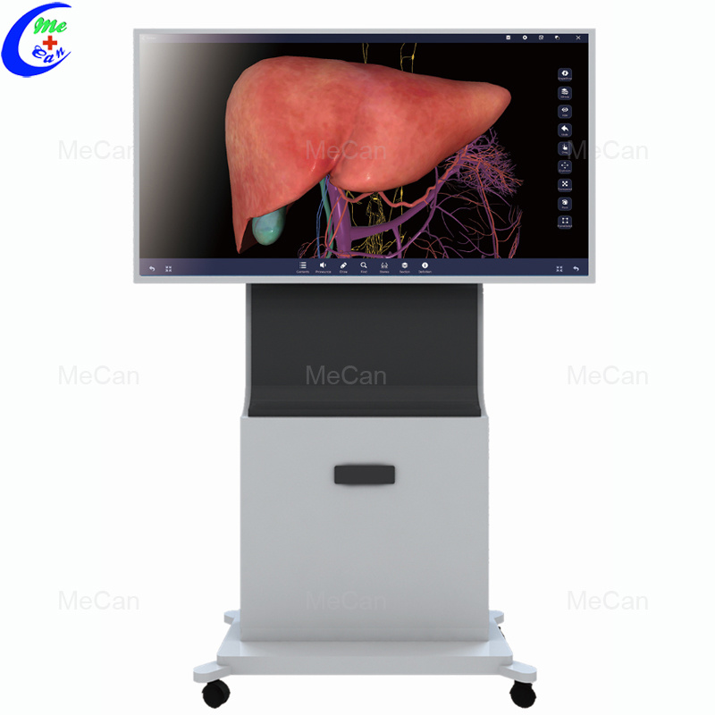 Professional 88/55 inch Touch Screen 3D Human Anatomy System For Education manufacturers