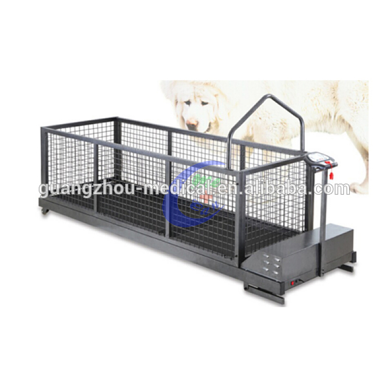 Best Quality MC-C600SWG (HOT SALES) big dog running machine treadmill Factory