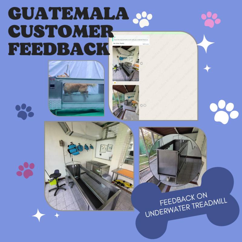 Guatemala Customer Reviews Our Electric Underwater Treadmill For Dog