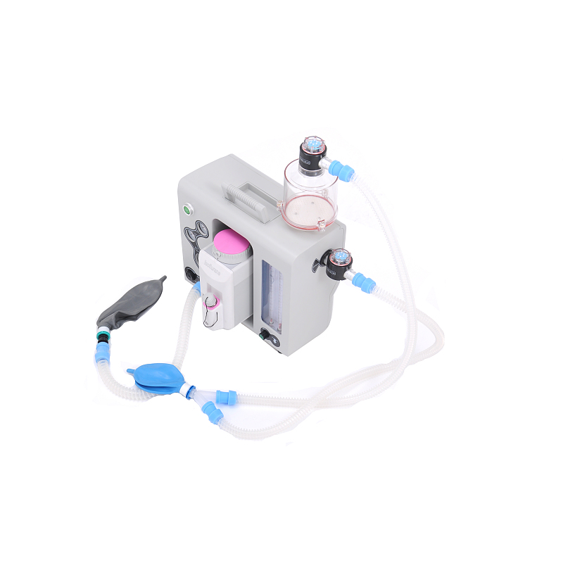 Customized Medical Emergency Portable Anesthesia Machine manufacturers From China