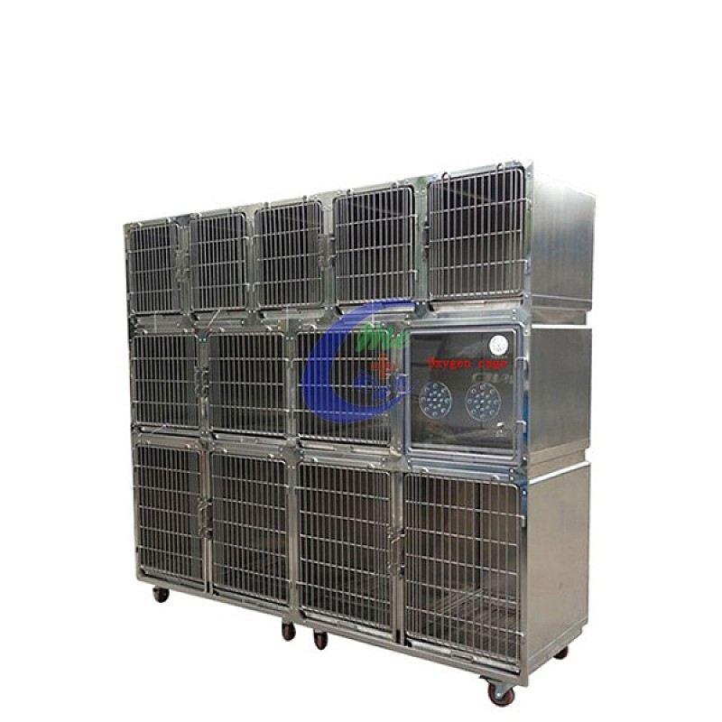 Professional Luxury veterinary equipment cage bank stainless steel large dog cage manufacturers