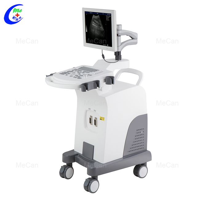 Minős&eacute;gi hordozhat&oacute; fekete-feh&eacute;r ultrahangos g&eacute;p, teljes digit&aacute;lis kocsis ultrahang szkenner gy&aacute;rt&oacute; | MeCan Medical