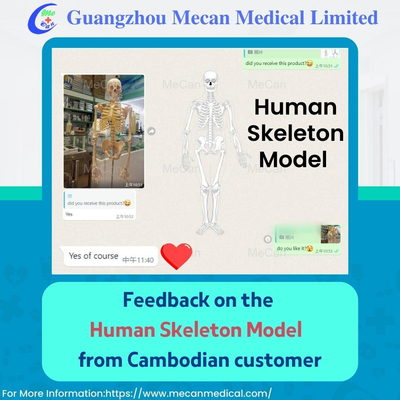 Faira_0 16677881999 3.jpg