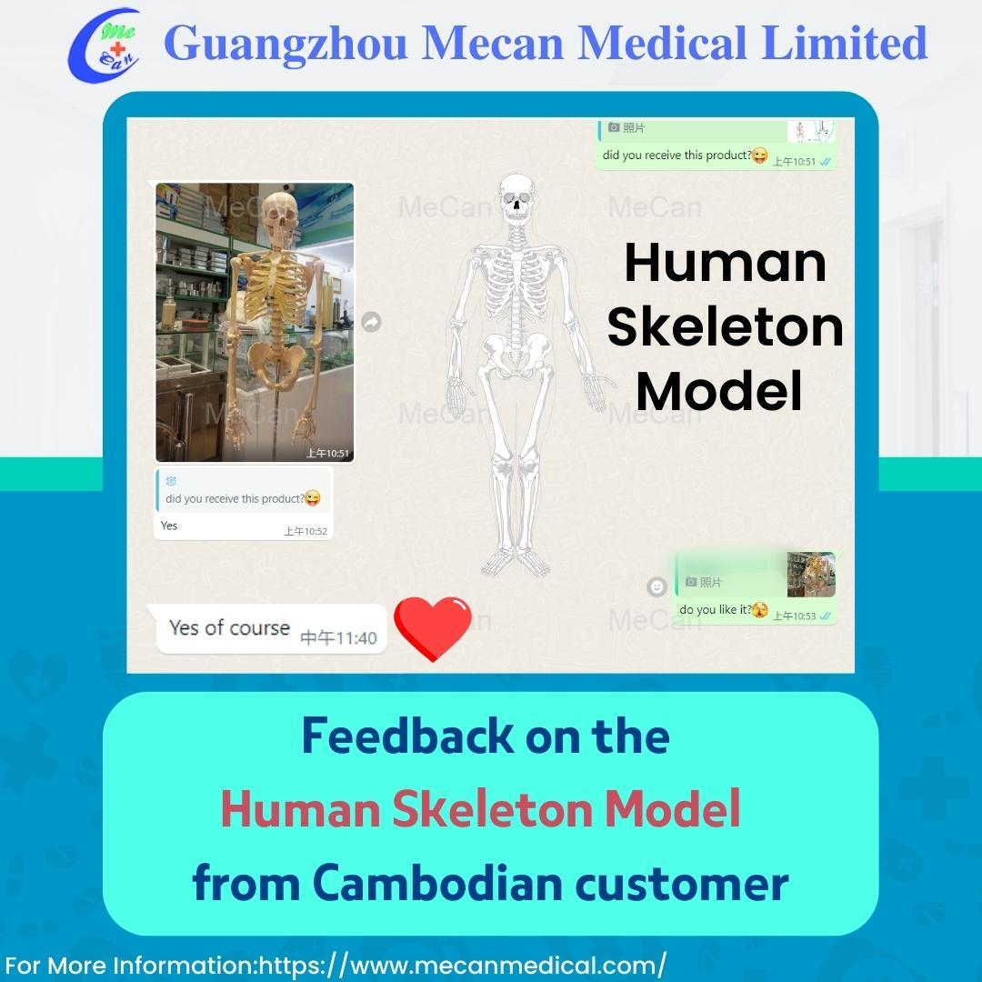 Zpětn&aacute; vazba na model lidsk&eacute; kostry od kambodžsk&eacute;ho z&aacute;kazn&iacute;ka | MeCan Medical