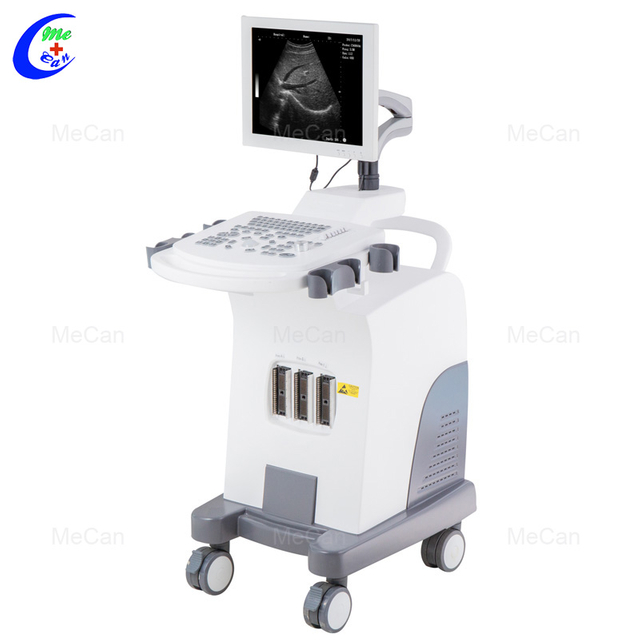 ጥራት ያለው የአልትራሳውንድ ማሽን በትሮሊ ቢ/ደብሊው ሜዲካል ዲጂታል አልትራሳውንድ ስካነር ማሽን አምራች | ሜካን ሜዲካል