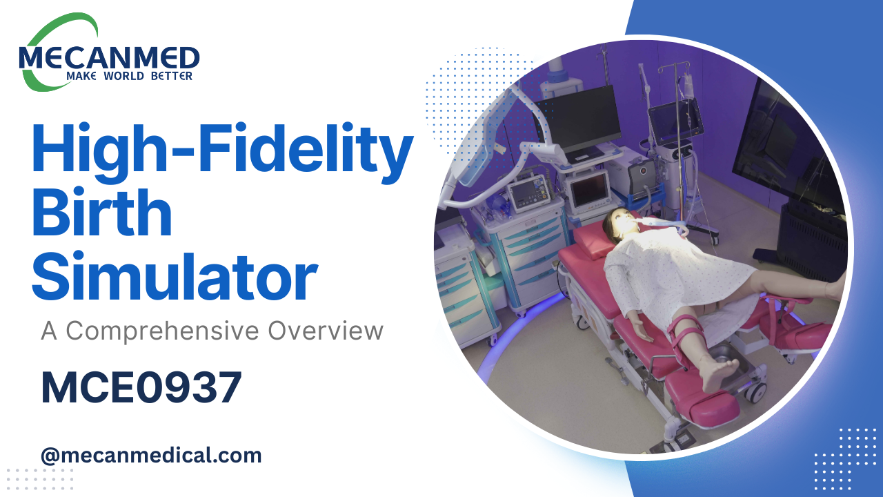 MECANMED हाई-फिडेलिटी बर्थ सिम्युलेटर｜प्रसूति तथा मिडवाइफरी प्रशिक्षण प्रणाली