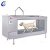 Hond Hidroterapie Treadmill | Rehabilitasie vir honde